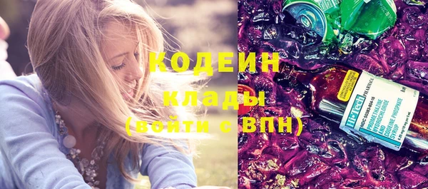 амф Гусиноозёрск
