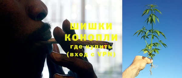 амф Гусиноозёрск