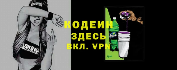 амф Гусиноозёрск