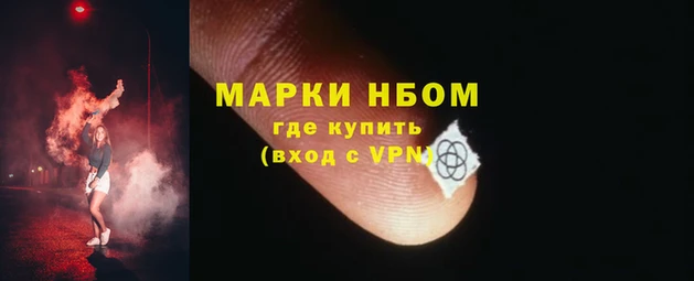 PSILOCYBIN Гусь-Хрустальный