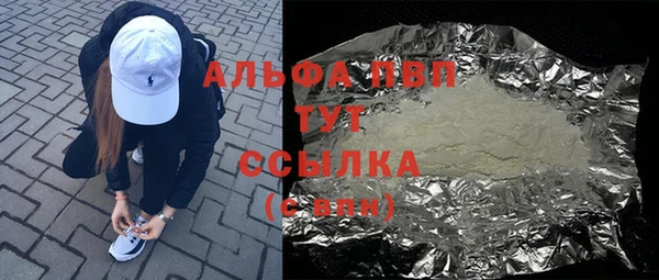 амф Гусиноозёрск