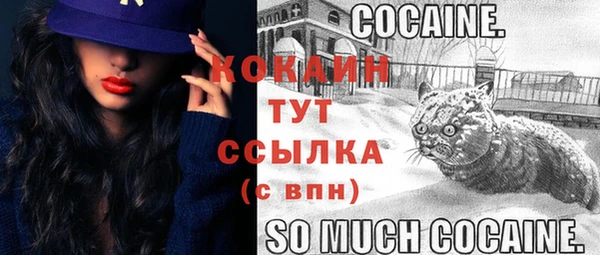 PSILOCYBIN Гусь-Хрустальный