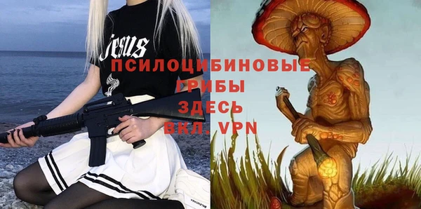 PSILOCYBIN Гусь-Хрустальный