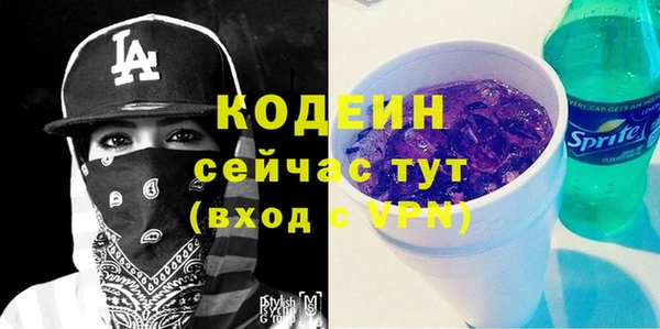 PSILOCYBIN Гусь-Хрустальный
