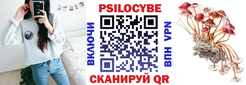 Купить  Нижний Новгород  Псилоцибиновые грибы мицелий 