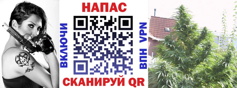 Марихуана Ganja  Купить закладки  Нижний Новгород 